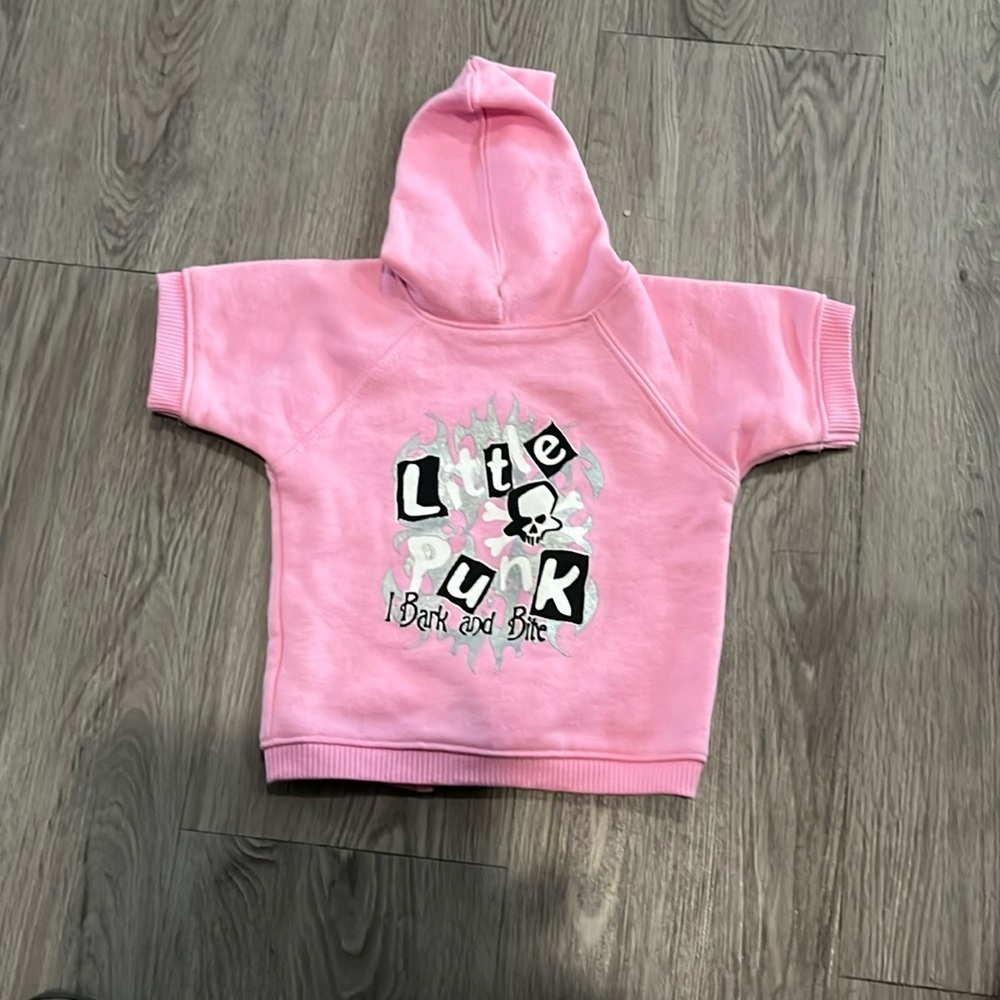 Punk Rock never dies hoodie in pink💙